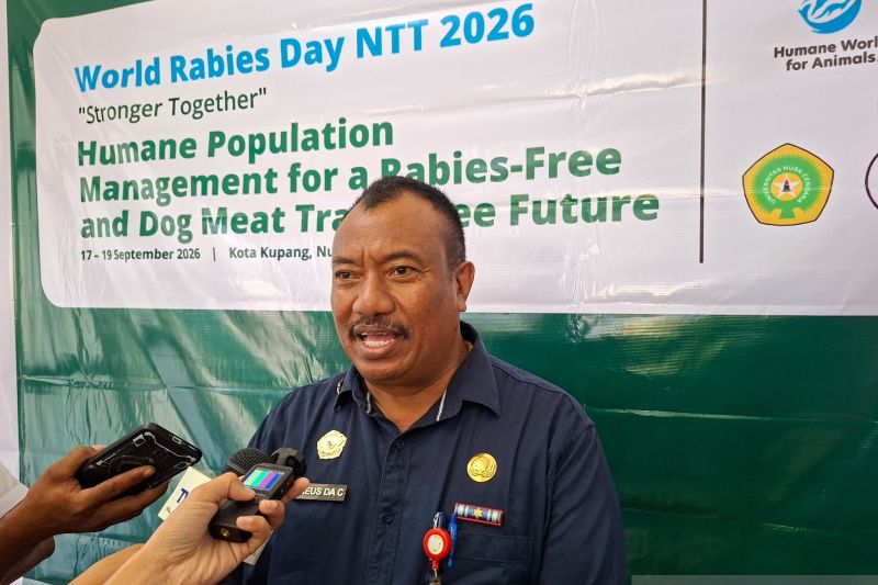Pemkot Kupang Kejar Sisa 2.000 Anjing Belum Tervaksin Rabies, Target Rampung 30 September 2026