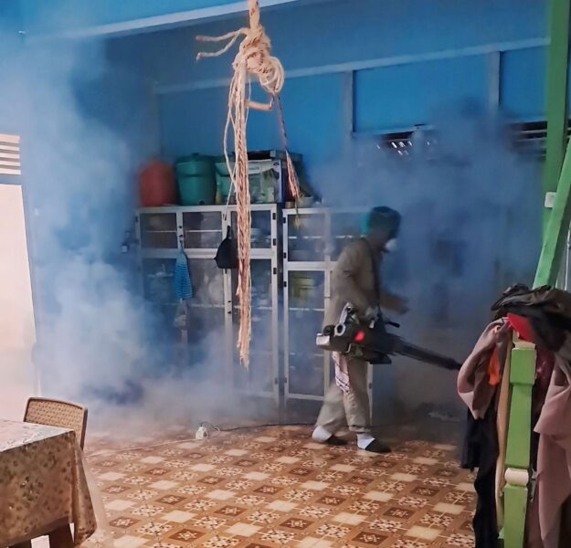 14 Kasus DBD Terdeteksi di Kayong Utara Sejak Awal Mei, Dinkes Fogging dan Sebar Abate ke Tiga Kecamatan