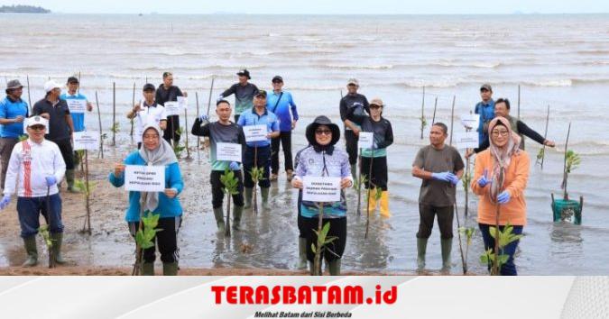 58.500 Bibit Mangrove Ditargetkan Pemprov Kepri Sepanjang 2026, Fokus Rehab Pesisir Batam dan Bintan