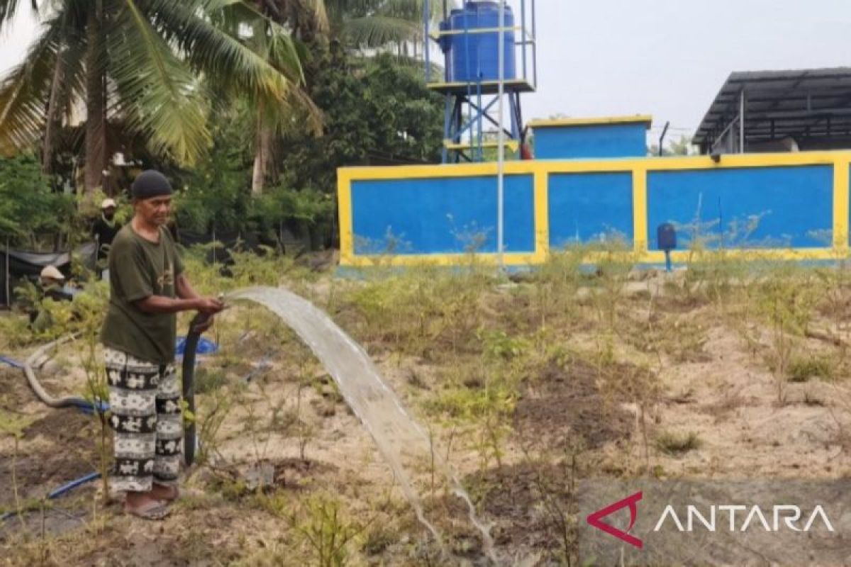 BWS Maluku Pompanisasi 12 Hektare Sawah di Seram Bagian Timur yang Terancam Kekeringan