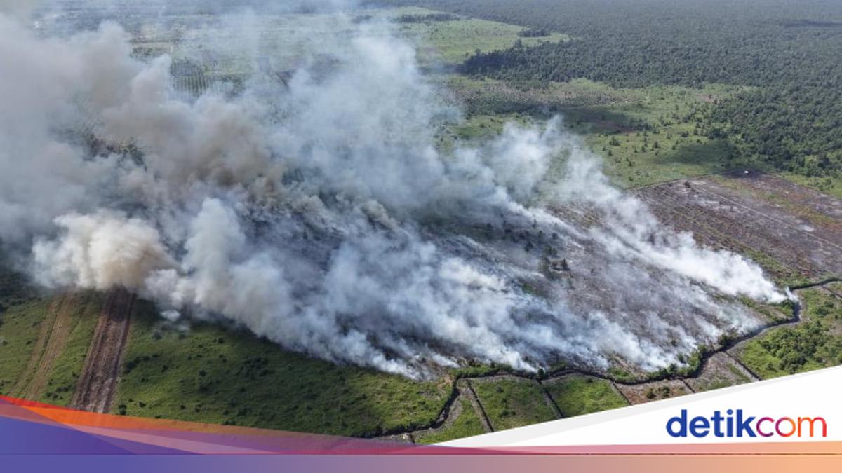 ** Karhutla 4 Hektar di Ketapang Meluas, Water Bombing Helikopter Dikerahkan dari Pontianak