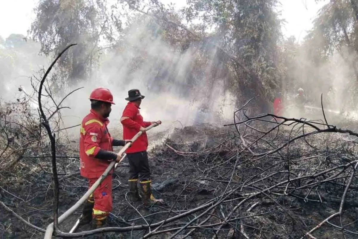 Kebakaran Lahan Gambut di Aceh Selatan Meluas ke 23 Hektare, Manggala Agni Padamkan Dua Hektare dalam Dua Hari
