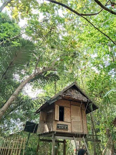 Rumah Hijau Denassa di Gowa Lestarikan Ratusan Tanaman Endemik Lewat Edukasi Budaya