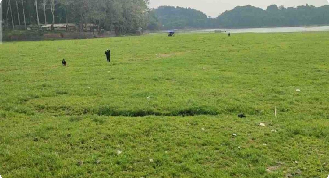 Kemarau Panjang Ubah Situ Gede Tasikmalaya Jadi Hamparan Rumput Hijau, Warga Berbondong Berfoto