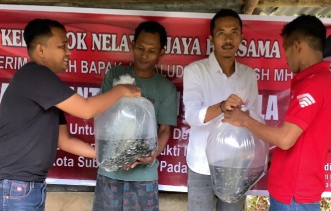 Anggota DPR Jamal Idham Salurkan 3,7 Juta Benih Ikan ke Puluhan Pokdakan di Aceh, Target 2027 Dibuka