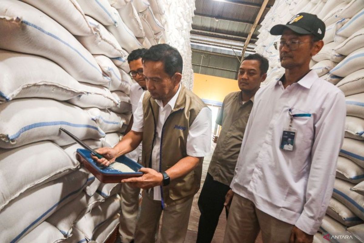 Bulog Kanwil Yogyakarta Serap Gabah Petani Berbagai Kualitas Rp6.500 per Kg, Realisasi Pengadaan Tembus 198 Ribu Ton