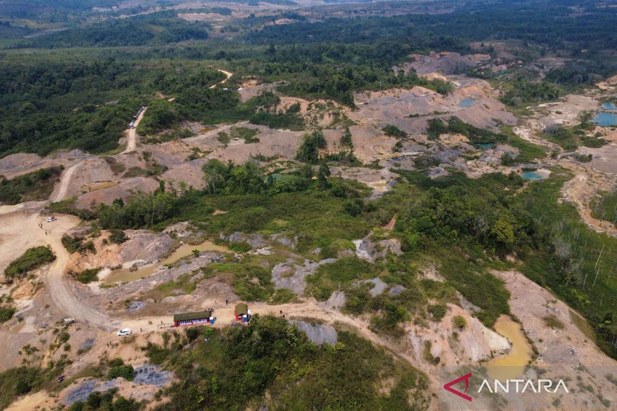 Pemprov Kaltim dan OIKN Sepakati Pemulihan Tahura Bukit Soeharto, 225 Pondok Ilegal di Bukit Tengkorak Jadi Sasaran