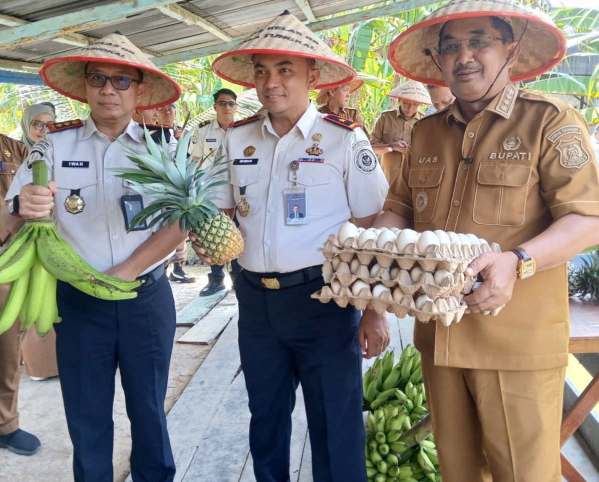 Bupati Tanjab Barat dan Kakanwil Ditjenpas Panen Raya di Lapas Kuala Tungkal, Produksi Ikan Patin Tembus 2 Ton