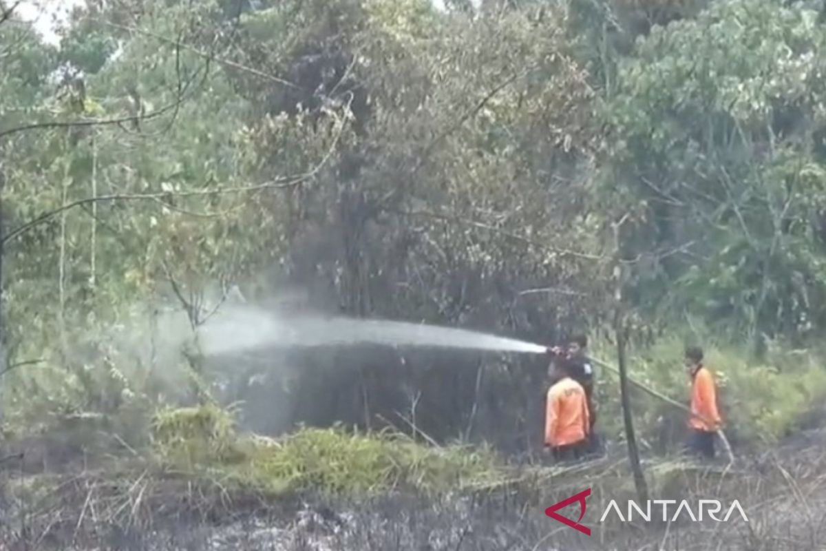 Kebakaran Lahan di Muaro Jambi Meluas Jadi Lima Titik, BPBD Perketat Pengawasan saat Musim Kemarau