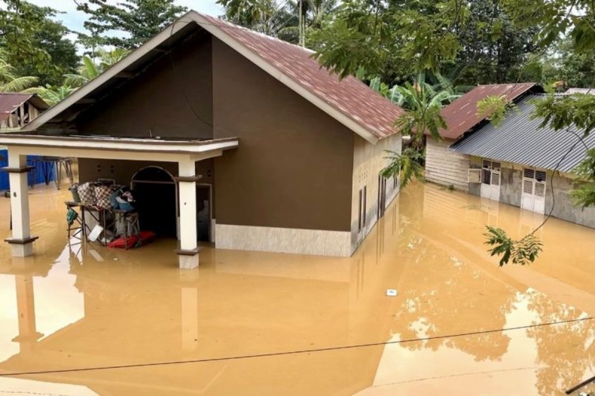 Pemkot Kendari Terima 5 Unit Alsintan dan Benih Padi dari Mentan RI, Target Pulihkan 330 Hektare Sawah Terdampak Banjir