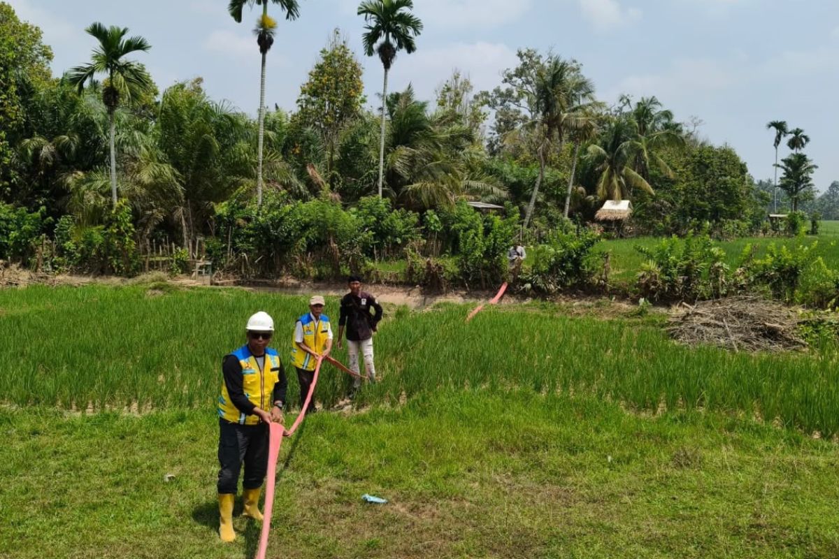 Pompa Air Dikerahkan ke Sawah Sarolangun, Menteri PU: Air Tumpuan Pembangunan Ekonomi