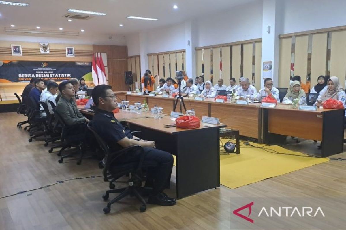 NTP Petani Bangka Belitung Naik 2,20 Persen ke 162,13, Subsektor Perkebunan Rakyat Jadi Pendorong Utama