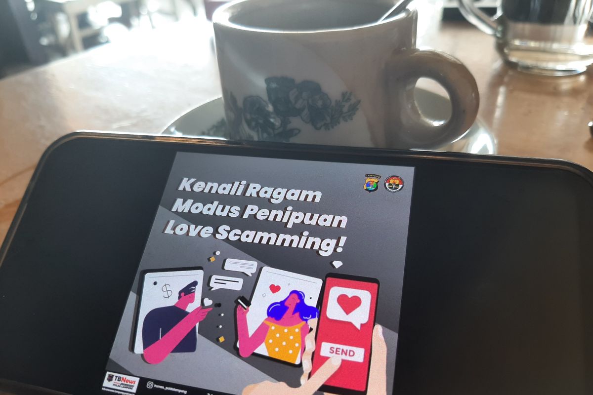 Waspada Love Scamming di Tanjungpinang, Diskominfo Ungkap Dua Korban Alami Pemerasan dan Batal Nikah