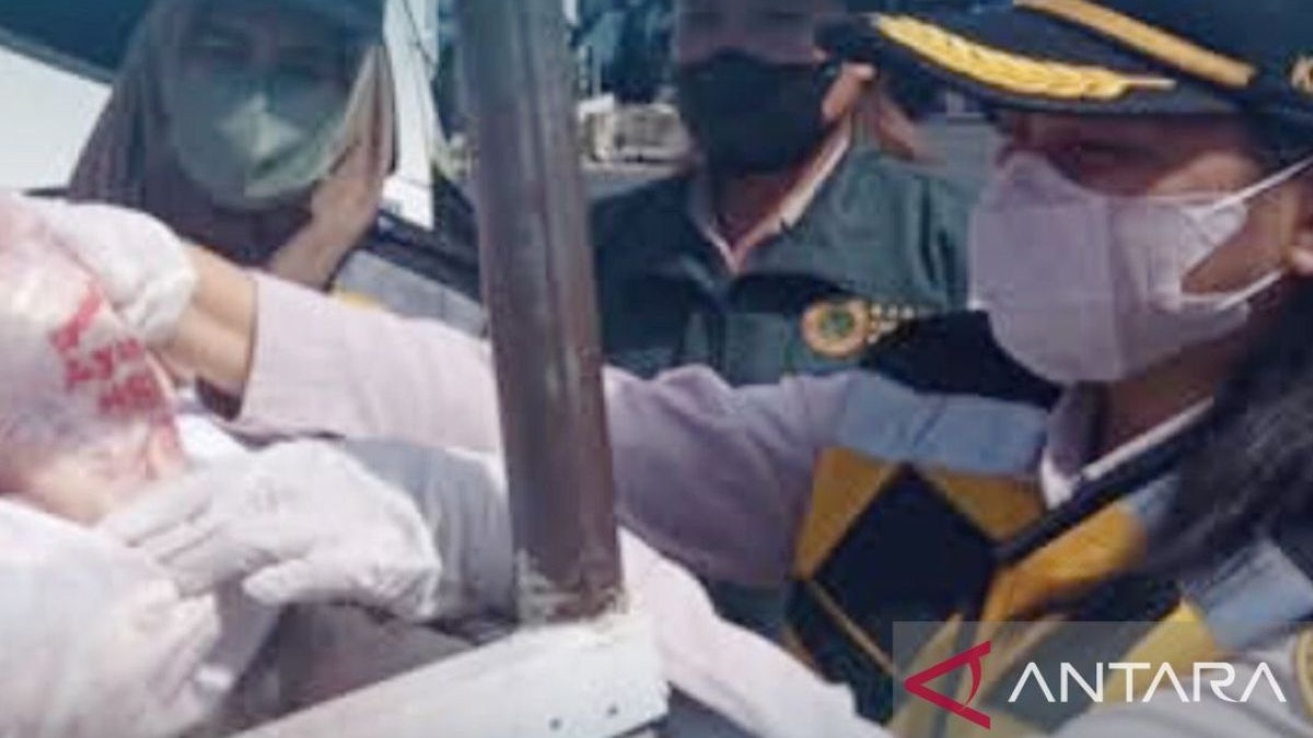 BKHIT Maluku Periksa 14 Ton Daging Ayam Beku Asal Surabaya, Pastikan Bebas Penyakit Sebelum Edar ke Pasar