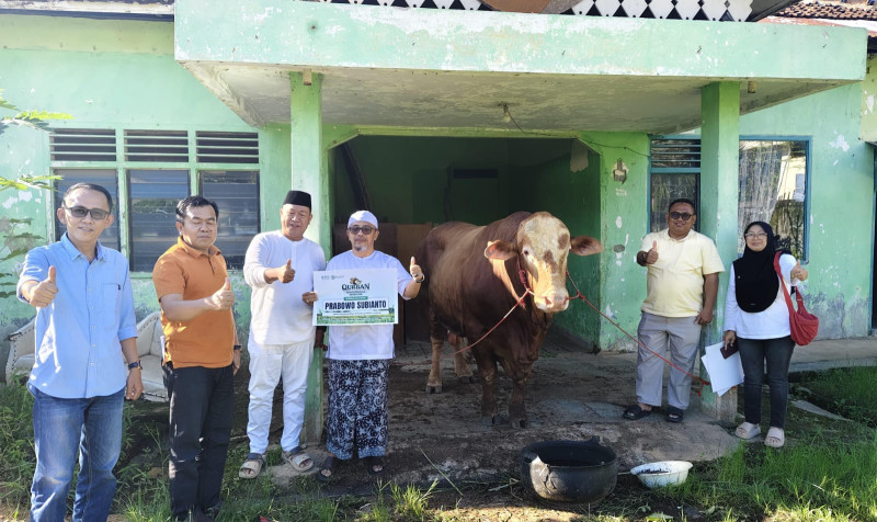 PWNU Lampung Bagikan 1.328 Paket Daging Kurban Idul Adha 1447 H, Salah Satunya Sapi Satu Ton dari Presiden Prabowo