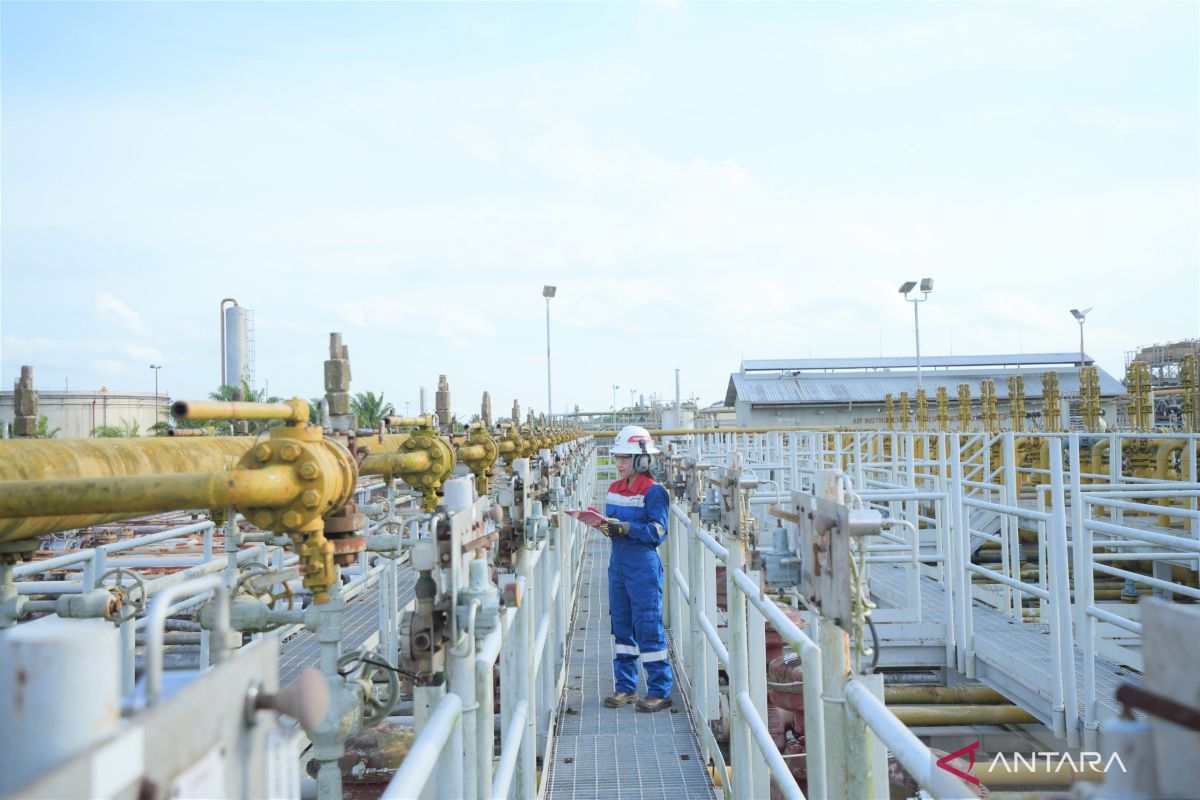 PHSS Terapkan Surface Desander di Sumur N-317L, Produksi Minyak Lapangan Nilam Kaltim Naik Jadi 159 Barel per Hari