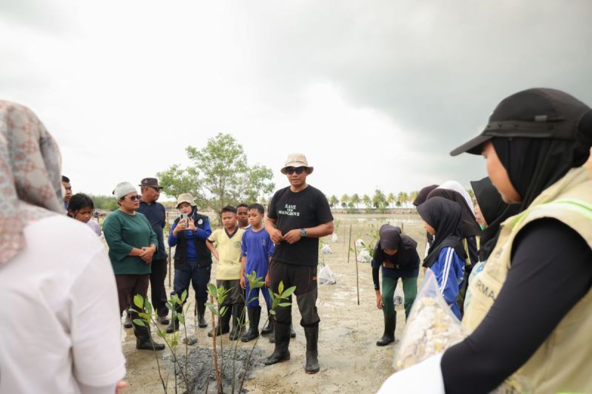 Hari Mangrove Sedunia, Bintan Resorts Ajak Warga dan Pelajar Tanam 1.000 Bibit di Pesisir Bintan