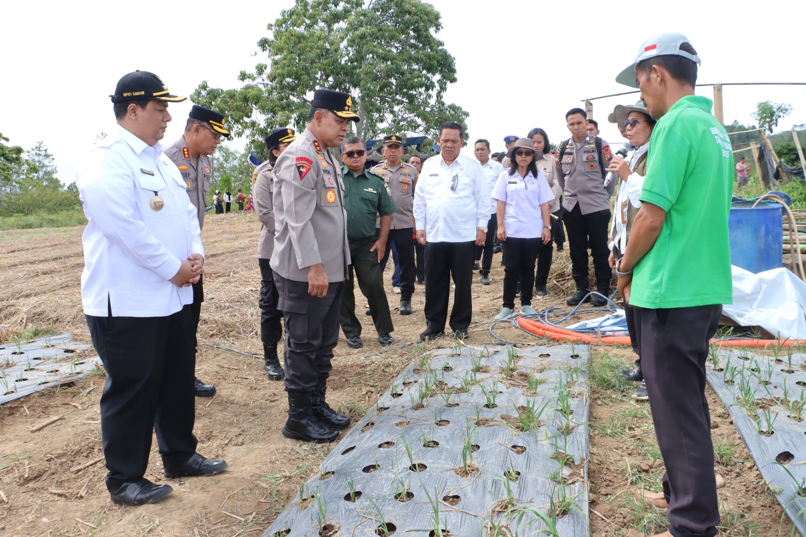 Kapolda Sumut Turun ke Lahan Bawang Putih di Samosir, Serahkan Bantuan ke Dua Kelompok Tani untuk Ketahanan Pangan