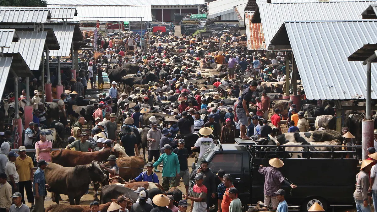 Jelang Iduladha, Harga Sapi di Pasar Hewan Sunggingan Boyolali Tembus Rp25 Juta, Kambing Ikut Meroket