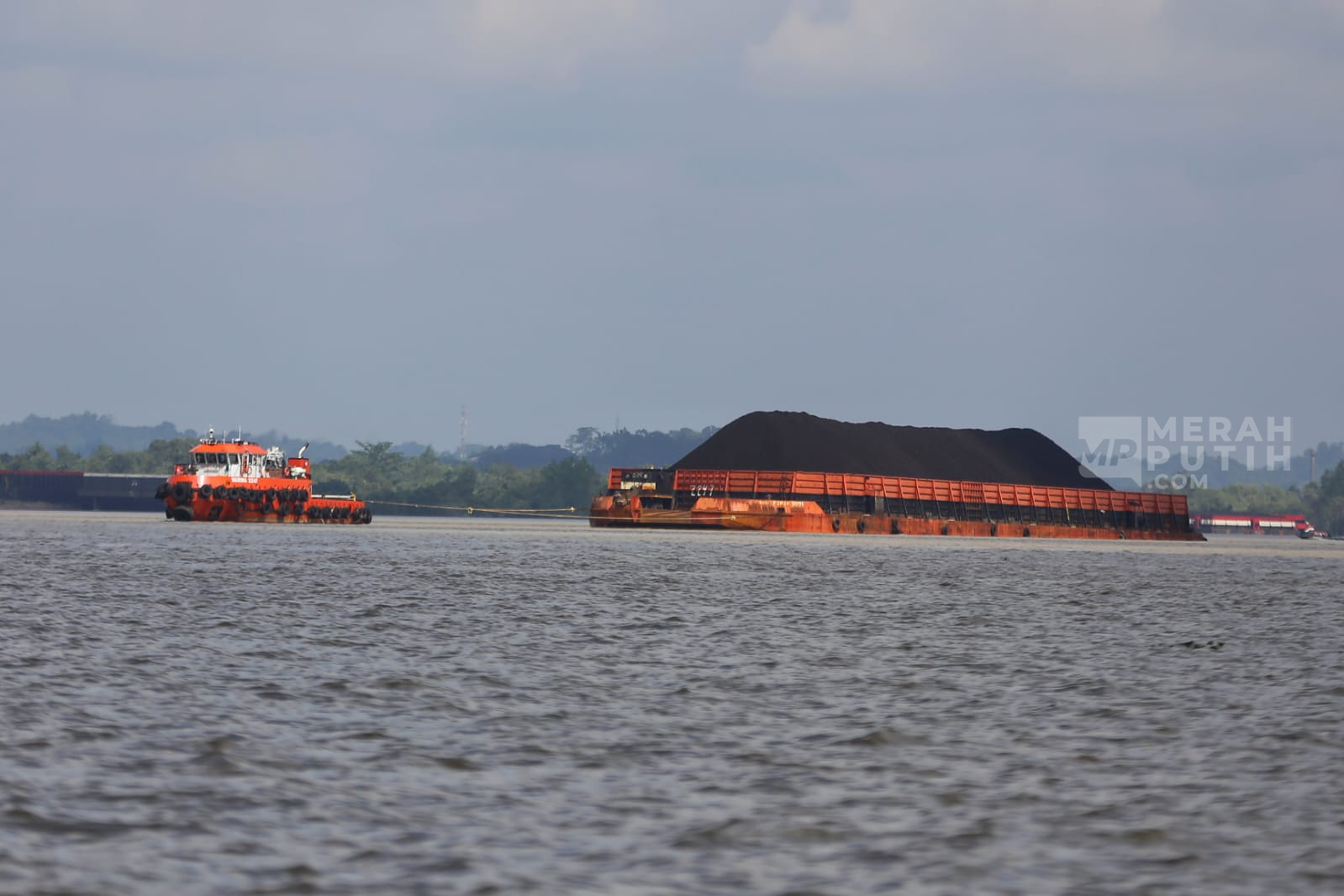 Sungai Mahakam Jadi Urat Nadi Distribusi Batu Bara Kaltim, 200 Tongkang Melintas Setiap Hari