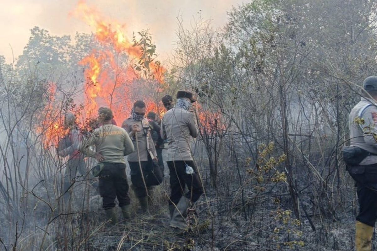 Kebakaran Hutan TN Way Kambas Meluas ke 673,4 Hektare, Api Berkobar di Lokasi Jati 3 dan Rawa Mbah Sapon