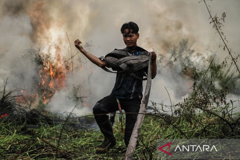 126 Karhutla di Palangka Raya Selama Status Siaga Darurat, Kecamatan Jekan Raya Paling Parah