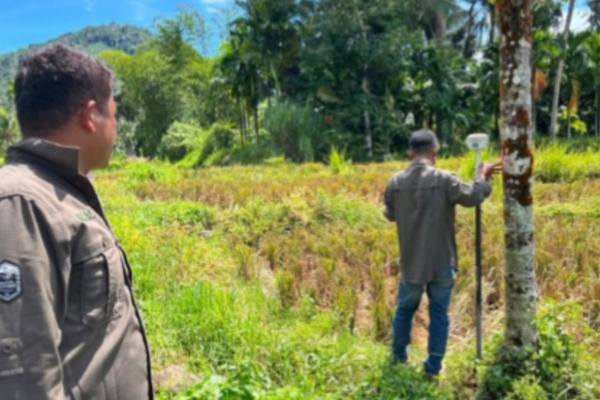 Kantor Pertanahan Pasaman dan PLN Turun ke Lapangan Verifikasi Data Aset, Begini Tujuannya