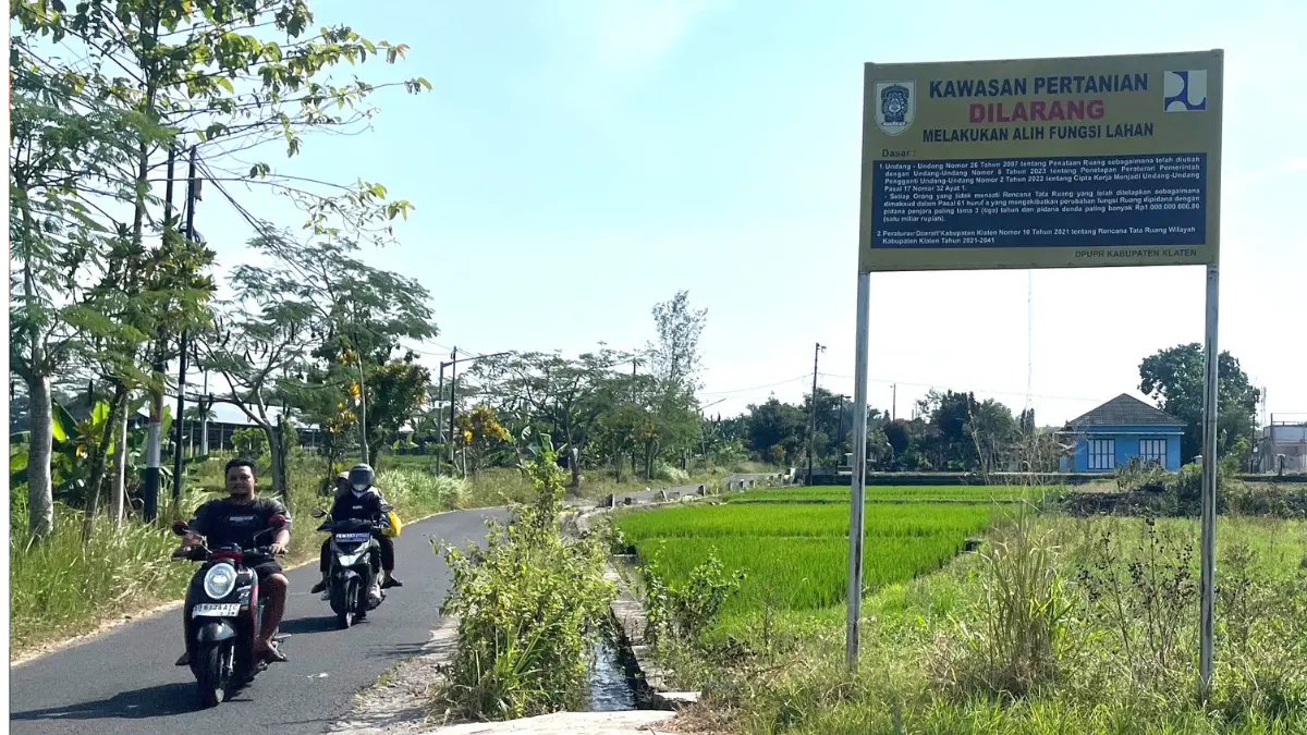 Alih Fungsi Lahan di Klaten Capai 400 Hektare, DKPP Siapkan Siasat Jaga Luas Panen Padi