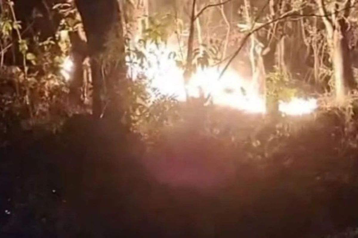 BPBD Parepare Tingkatkan Pemantauan Hutan Bacukiki Pasca Kebakaran, 2 Hektare Lahan Hangus