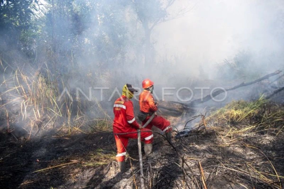 Petugas Manggala Agni dan Helikopter Black Hawk BNPB Padamkan Kebakaran Lahan di Ogan Ilir Sumsel