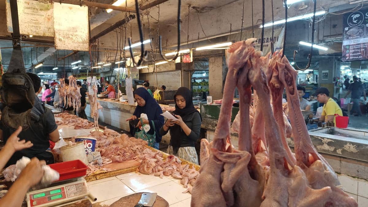 Harga Ayam dan Telur di Bandung Turun Imbas Dapur MBG Libur Saat Libur Sekolah, Pedagang Sebut Suplai Melimpah