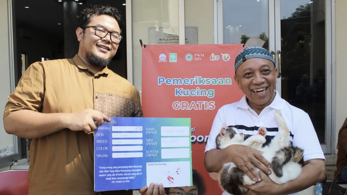 Messi, Kucing Betina 15 Tahun di Jogja Jadi Hewan Pertama Pemilik Kartu Tanda Anggota Muhammadiyah
