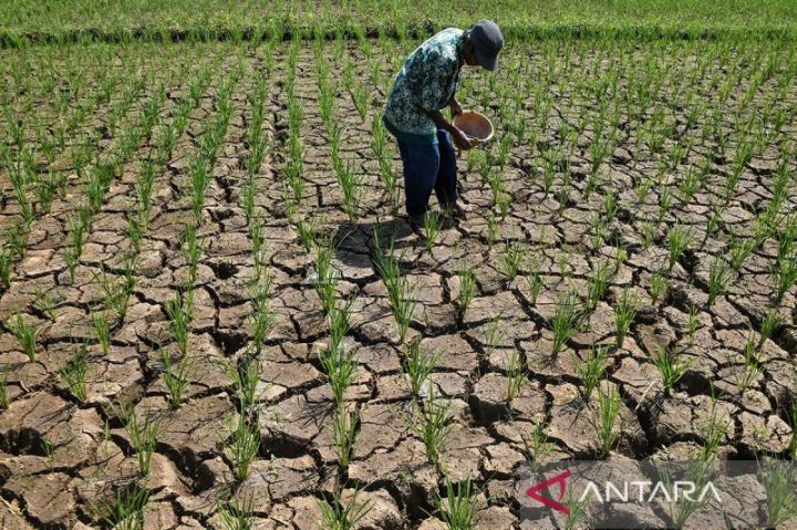 25 Kecamatan di Kabupaten Tangerang Masuk Zona Rawan Kebakaran dan Kekeringan, BPBD Siagakan Armada Air Bersih