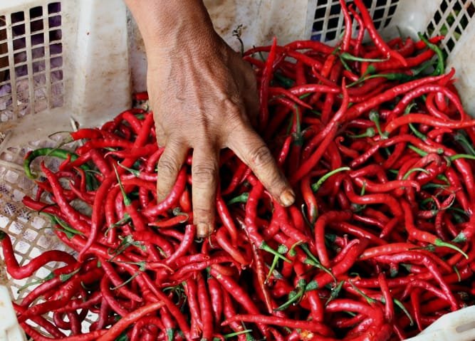Pasokan dari Sentra Produksi Mulai Lancar, Harga Cabai Keriting di Pasar Raya Padang Turun Drastis
