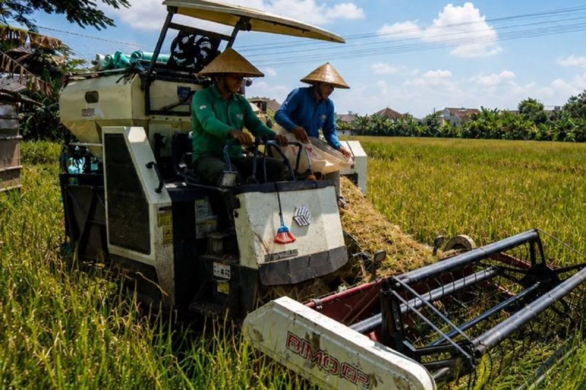 Pemkab Kolaka Salurkan 46 Alsintan ke Kelompok Tani untuk Antisipasi Kekeringan El Nino