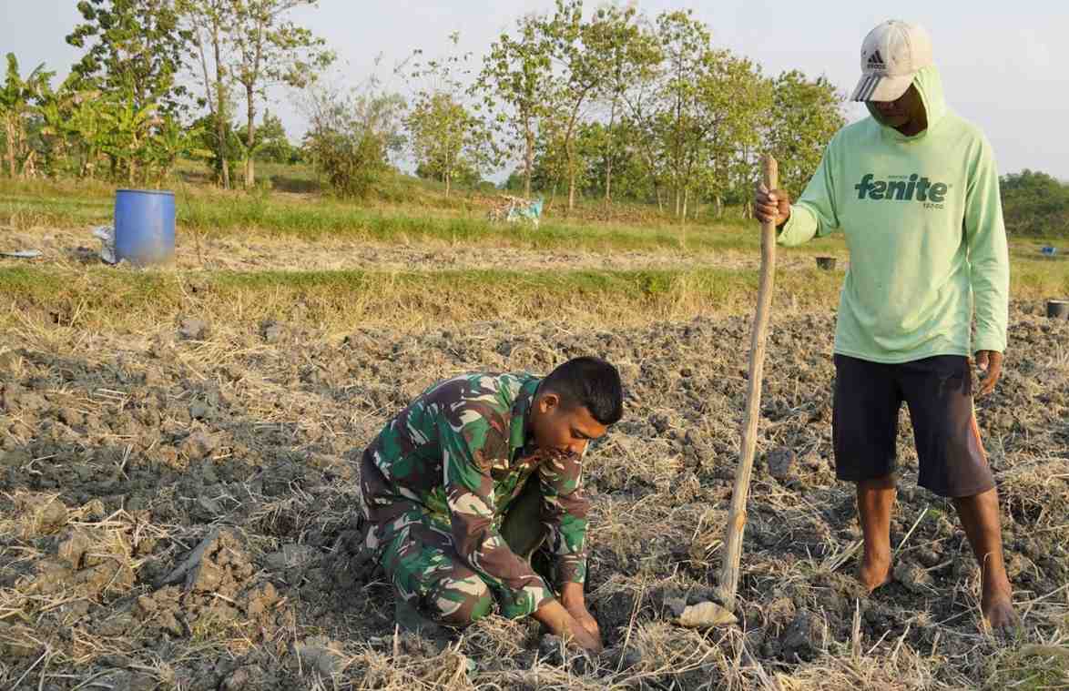 Serda Rizky Tinggalkan Cangkul Sejenak Demi Bantu Petani Tembakau di Bojonegoro, Ini Pesannya untuk Warga Desa Kesongo
