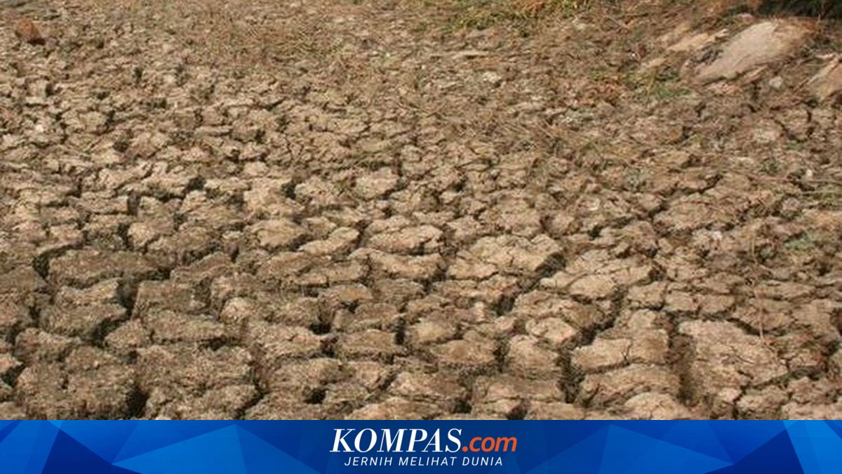 BMKG Tetapkan Status Awas Kekeringan Ekstrem di Belo dan Bolo, Bima 84 Hari Tanpa Hujan