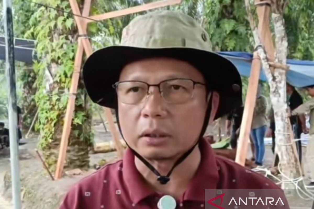 Pemkab Bangka Tengah Siapkan 1 Juta Bibit Cabai Gratis untuk 16 Kelompok Tani, Target Tekan Inflasi Daerah