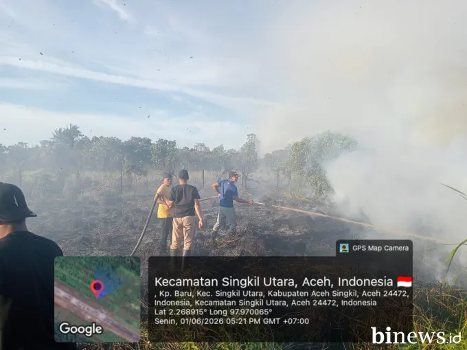 Karhutla Landa Tiga Titik di Solok, Aceh Singkil, dan Aceh Timur, BNPB Minta Pemda Siagakan Patroli