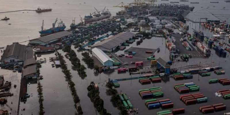 Kampung di Pesisir Utara Jateng Perlahan Tenggelam, Walhi Sebut Kerusakan Alam dari Hulu hingga Hilir Kian Parah