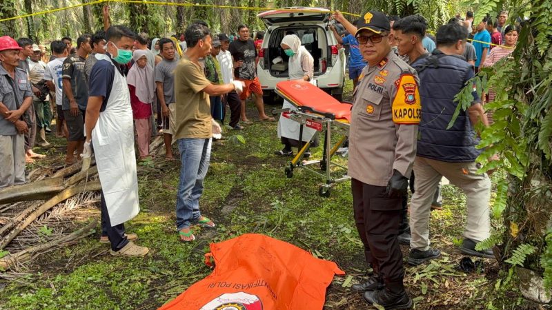 Warga Bangka Barat Geger Temukan Pria Asal Garut Tewas di Kebun Sawit Air Bulin, Polisi Selidiki Penyebab Kematian