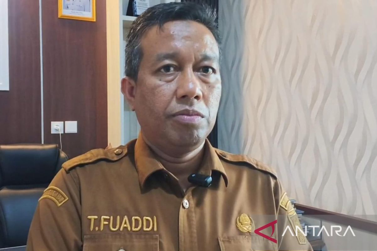 6 Daerah di Sumbar Terdampak Kabut Asap Kiriman dari Jambi, Riau, dan Sumsel, Begini Imbauan Dinas LH