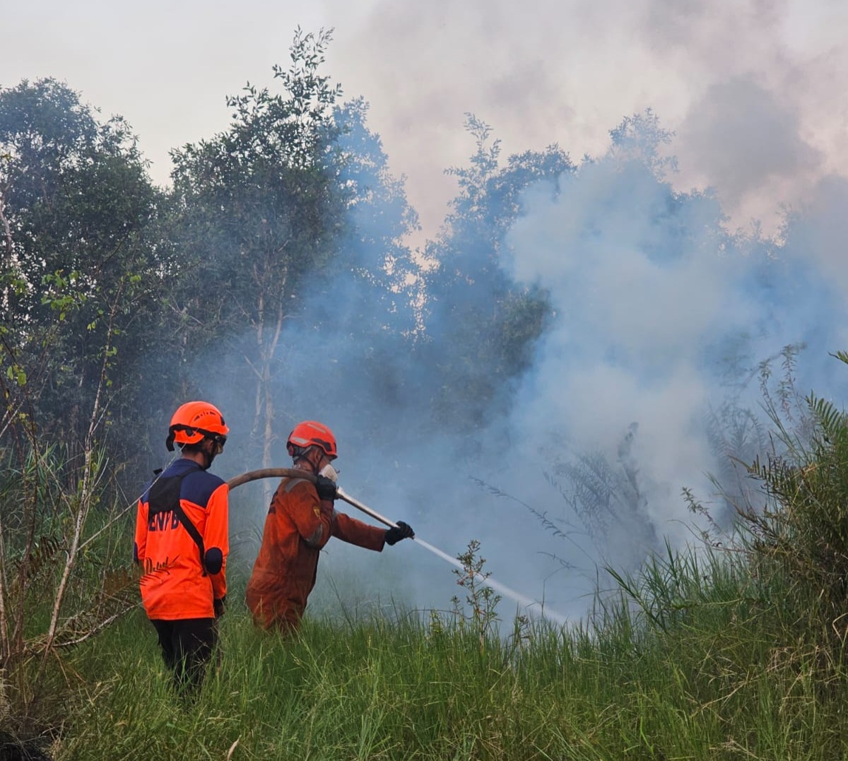 Karhutla di Banjarbaru Hanguskan 20 Hektare Lahan, Asap Selimuti Perumahan Puri Peramuan Indah