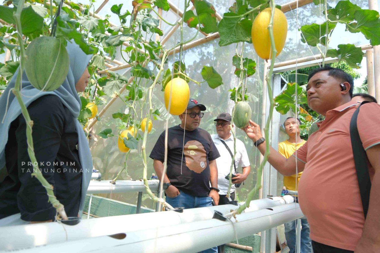 Wali Kota Tanjungpinang Lis Darmansyah Pelajari Sistem Greenhouse Melon Hidroponik di Cilacap untuk Cetak Wirausaha Muda