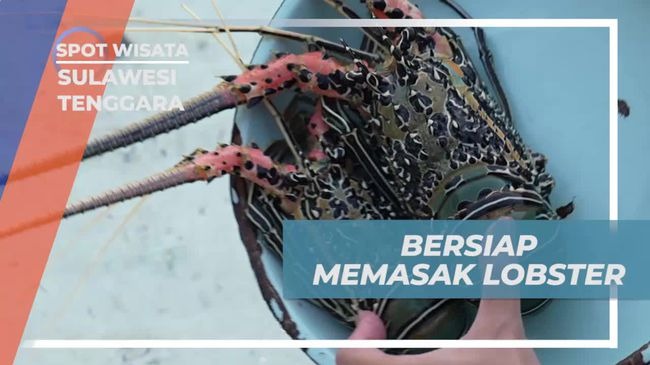 Selebriti dan Pemuda Lokal Sulawesi Tenggara Masak Lobster Segar di Tepi Pantai, Kolaborasi Hangat yang Curi Perhatian