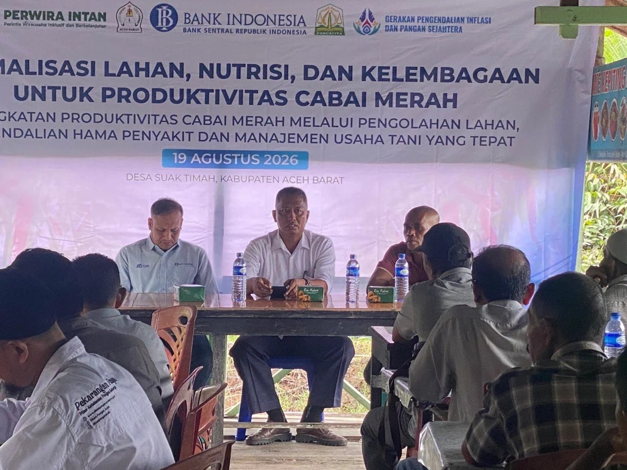 BI Aceh Gencarkan Pendampingan 5 Kelompok Tani di Aceh Barat untuk Tekan Inflasi Cabai Merah