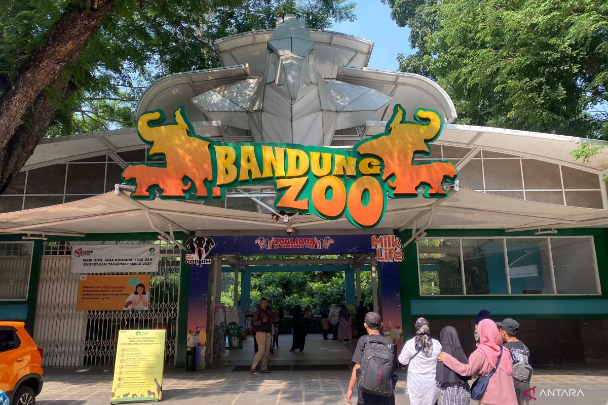 Gubernur Jabar Dedi Mulyadi Siapkan BUMD Kelola Bandung Zoo
