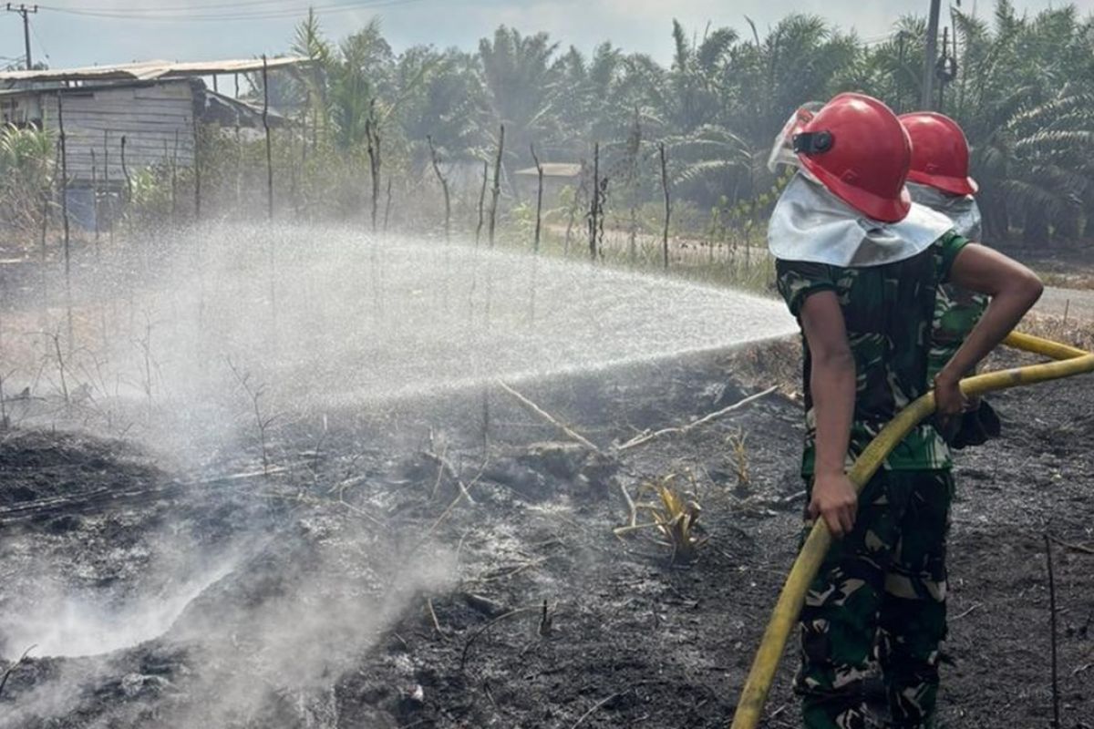 Korem 045 Garuda Jaya Padamkan Karhutla 5 Hektare di Belilik Bangka Tengah, Api Tak Sampai ke Permukiman