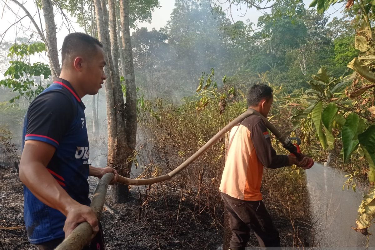 BPBD OKU Padamkan Karhutla di Lima Desa dan Kelurahan, Luas Lahan Terbakar Capai 8 Hektare