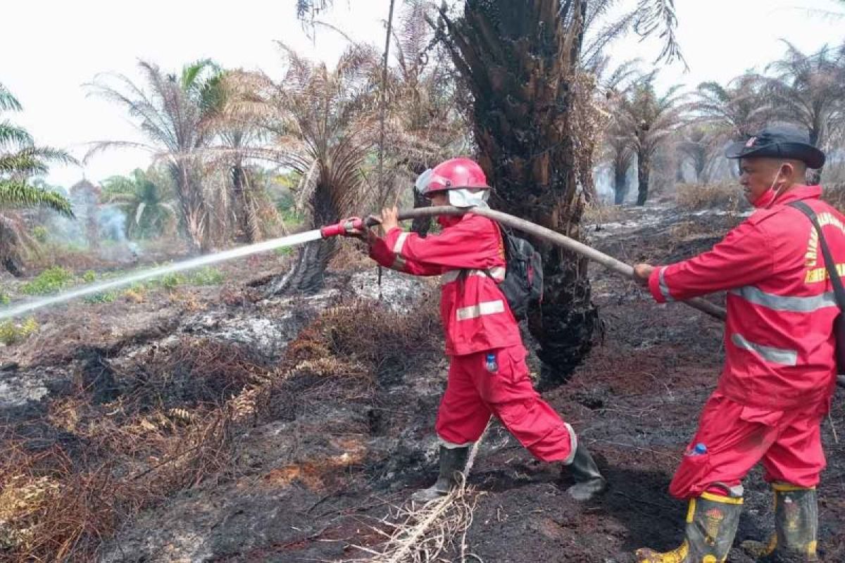 Kebakaran Hutan dan Lahan 30 Hektare di Nagan Raya, Manggala Agni Dikerahkan Padamkan Api di Kawasan Gambut